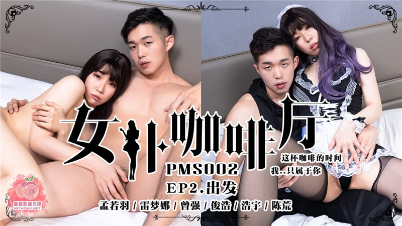 PMS002-4